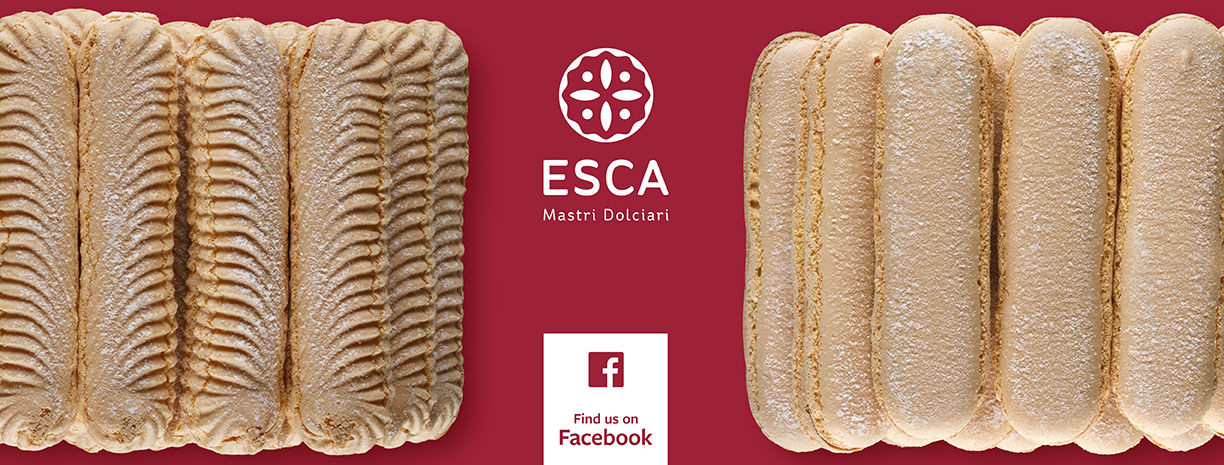 Seguici su Facebook