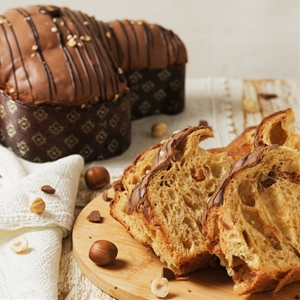 Colomba Artigianale Albicocca e Gianduia